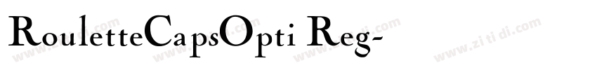 RouletteCapsOpti Reg字体转换